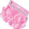 Hen Night Feather Garter